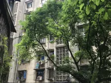 低楼层,业主诚心出售,出入方便,适合自住或者出租