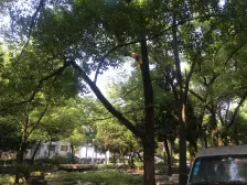 房东急需资金周转,低于市场价出售,随时看房!