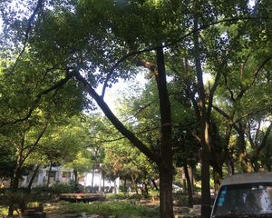 洛阳东路手表厂南路 南北通透,采光好 近地铁 视野好,诚心出售
