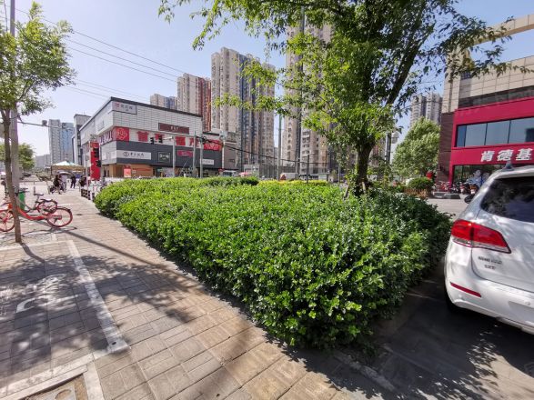 万科红实景图