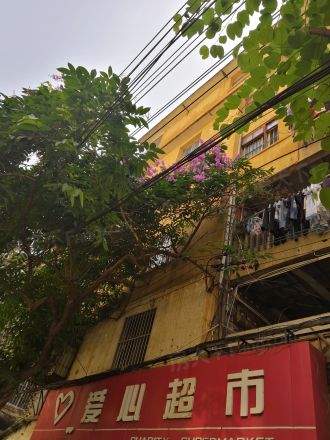 南国房产局宿舍实景图