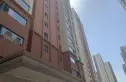 柴楼新庄园竹园实景图