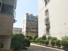 装修拎包入住一梯两户使用面积大 顶+阁 采光好