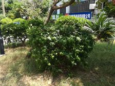 领秀一方自住两房户型方正格局好