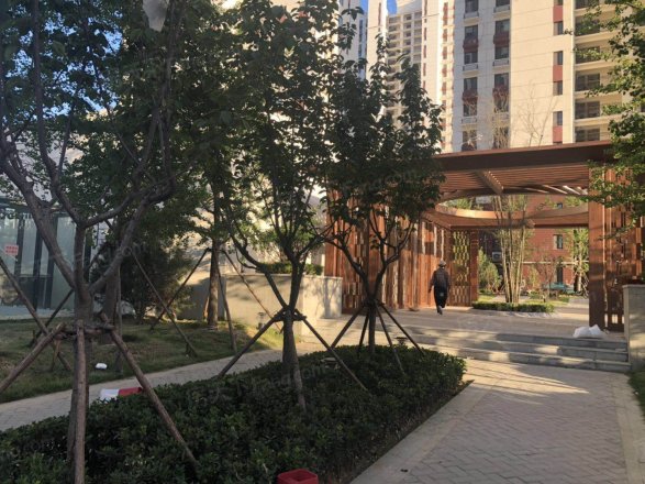 和谐佳苑实景图