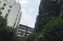 鼓楼洞街7号院实景图