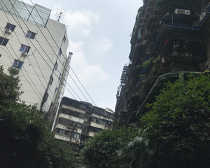 鼓楼洞街7号3室2厅东南南
