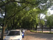 图书馆宿舍 好楼层 环境好太阳好 首付低