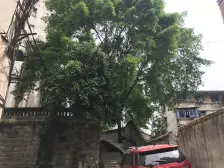 石坪桥 建筑一村二房35万