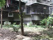 石坪桥 建筑一村三房61万