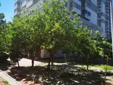 79中民权小区 3室2厅 东 南 西