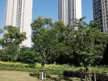 姑苏 沧浪新城 瀚河苑 大三房 南北通透 立达 毛坯