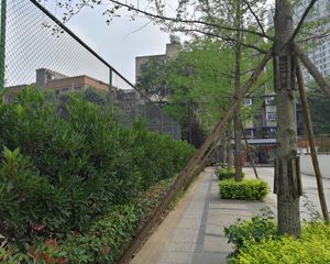 鑫城府1室1厅东南