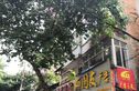 南国房产局宿舍实景图