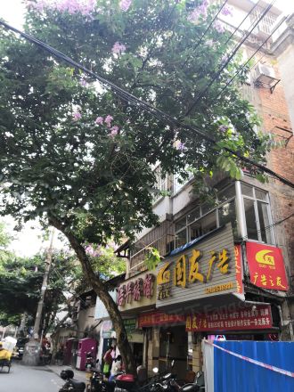 南国房产局宿舍实景图