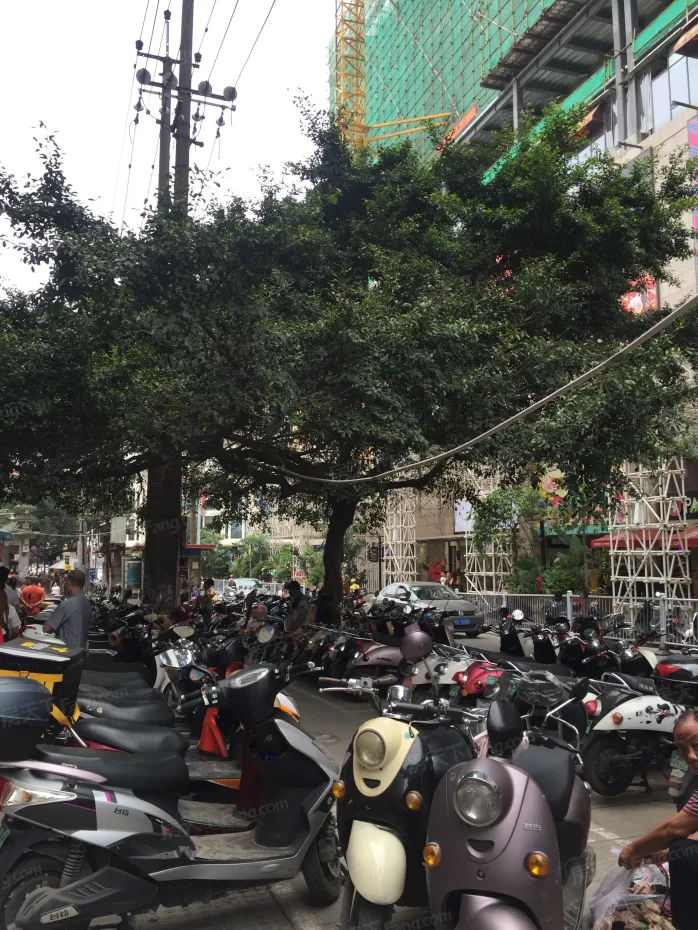 【南宁鼎盛大厦小区,二手房,租房】- 南宁房天下