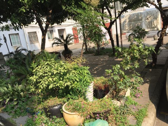 洛兹小区实景图