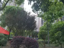 三林南+三轨交+近地铁+全明户型一房+方便看房