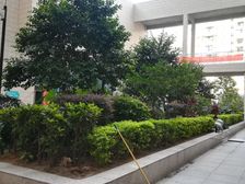 北部湾广场繁华商圈2房1厅2阳台朝南