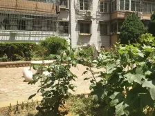 南山路海景房,精装三室朝阳,封闭小区框架房