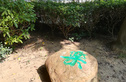 明苑花园商住楼实景图