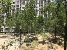 大峪小白楼2室2厅南北