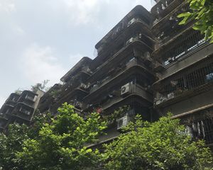 鼓楼洞街7号3室2厅东南