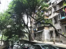 低楼层,摩托车可进户适合自住或出租