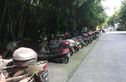 明苑花园商住楼实景图