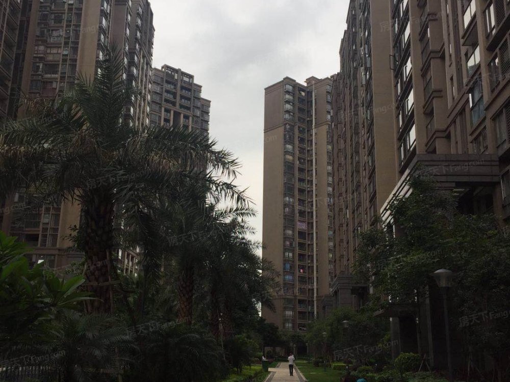 实景图