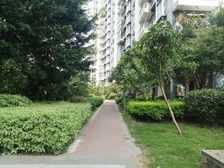 在海一方2室1厅南