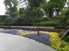 湖东CBD·丰隆城市**·2室·1厅