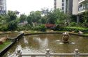 南地·海江南实景图