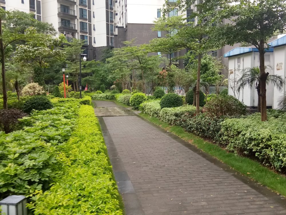 小区相关图
