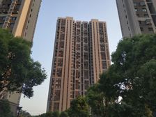 三林·同康苑·3室·1厅