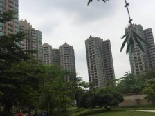 温馨大两房,看花园户型方正,业主诚心出售