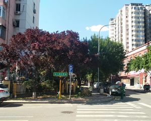 贵园东里低楼层边户三居室