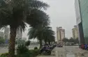 海尚一品实景图