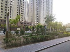 新天气三区小户型 生活便利 上班方便 单身族 首 选