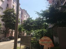 经典一室一厅,户型方正,采光通透