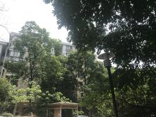 心愿花园一期1室1厅南
