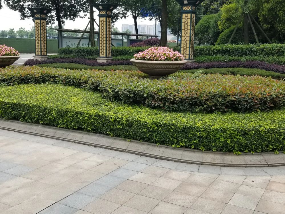 小区相关图