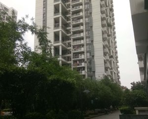 汇景豪园3室1厅南