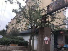 电信局宿舍 2室0厅 南