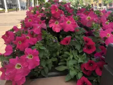 一室 高楼层 采光好 安盛商圈