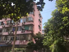 笋盘!南北全明户型,采光好,业主诚售!带电梯!精装修!