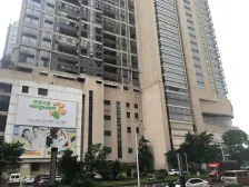 碧桂园大平层 南北对流望江户型 靓装采光好