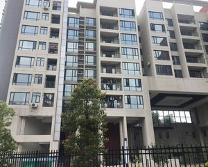 客厅很宽敞很大,标准三房户型方正,采光很好