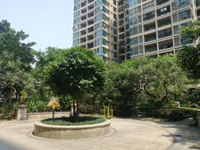 新世纪大道,精装修三房两厅两卫,带家具。