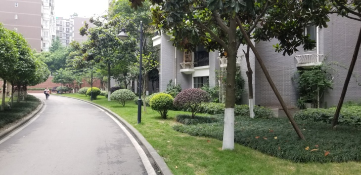 蓉城胜景实景图